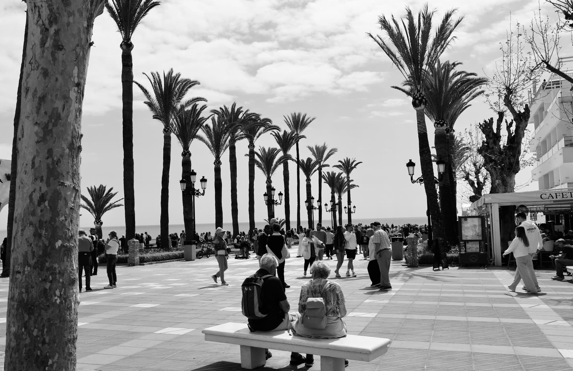 Paseo marítimo con palmeras, personas caminando y una pareja sentada en un banco, blanco y negro
